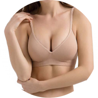 Seamless Bra-01